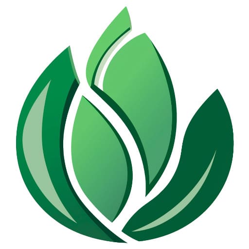 Logo Boorlen